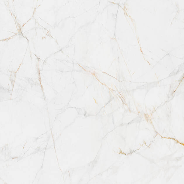MAXTON Calacatta Miele